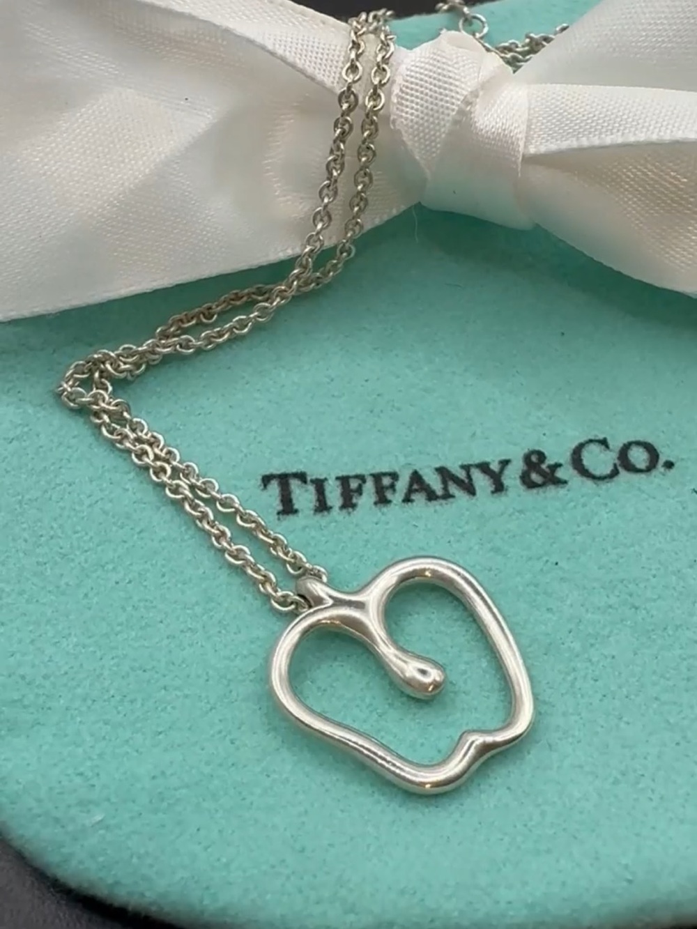 Tiffany & Co. 💯% Auth Sterling Silver Apple Pendant Necklace w/Pouch✨EUC✨